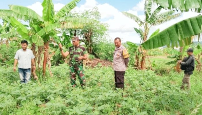 Babinsa Koramil 2305/Cinangka Laksanakan Puanter, Pantau Harga Sembako di Dua Desa