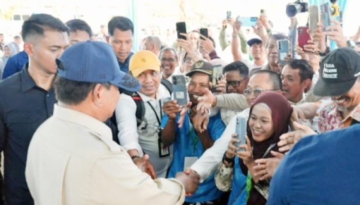 Cek Panen Raya di Karawang, Petani Antusias Bertemu Prabowo