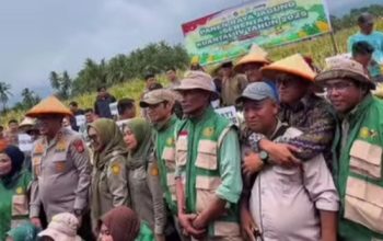 Bupati Jeneponto Hadiri Panen Raya Jagung Serentak Kurtal l 2026 Secara Virtual, Jajalkan Sinergi Lintas Daerah untuk Suasembada Pangan