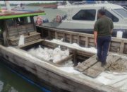 Tim Gabungan Satgas Trisakti Gagalkan Pengiriman 500 Kampil Pasir Timah Diduga Ilegal ke Malaysia, 4 ABK dan Kapal Diamankan