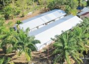 BUMN Terus Bangun Rumah Sementara di Aceh Timur, Progres Capai 97%