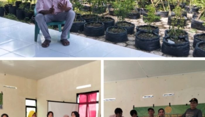 Gerakan Hijau Pekarangan di Desa Panca Tunggal Dorong Ekonomi Keluarga dan Dukung Program Gizi Nasional