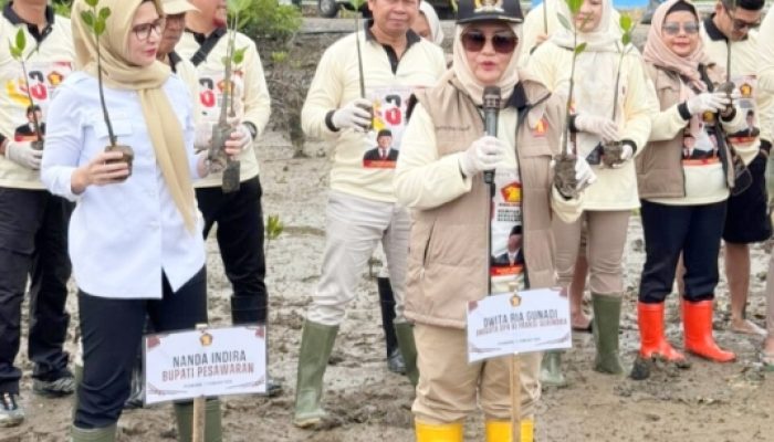 Februari, Bulan Gerakan Kebaikan Gerindra: Tanam 1.000 Mangrove dan Aksi Sosial di Pesisir Lampung