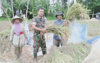 Babinsa Koramil 2305/Cinangka Giat Puanter, Perkuat Pendataan dan Monitoring Wilayah
