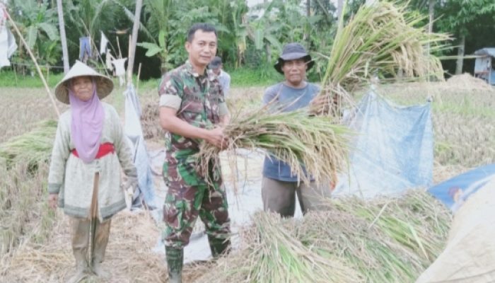 Babinsa Koramil 2305/Cinangka Giat Puanter, Perkuat Pendataan dan Monitoring Wilayah