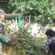 Babinsa Koramil 2301/Cilegon Gotong Royong Bersihkan Pohon Tumbang dan Benahi Drainase di Jombang