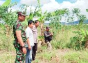 Babinsa Koramil 2302/Bojonegara Dampingi Pelatihan PBB dan Pengemukan Kacang Tanah di Wilayah Binaan