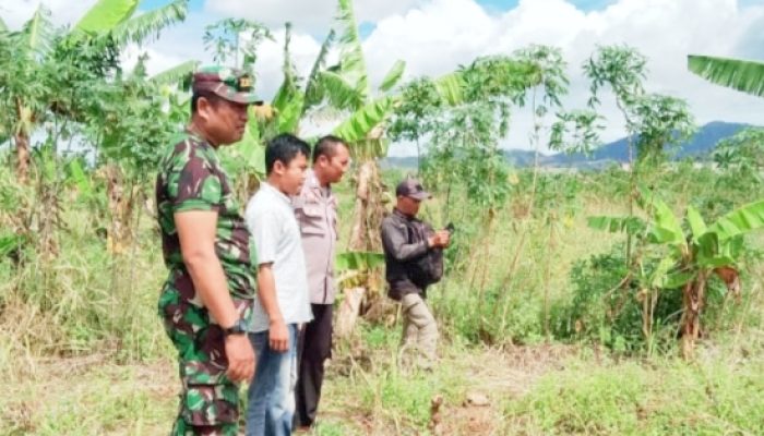 Babinsa Koramil 2302/Bojonegara Dampingi Pelatihan PBB dan Pengemukan Kacang Tanah di Wilayah Binaan