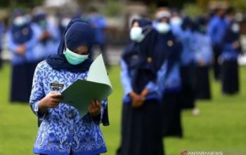 Ribuan P3K Guru Paruh Waktu di Takalar 2 Bulan Tak Digaji, Harap Perhatian Cepat Dari Pemerintah Daerah