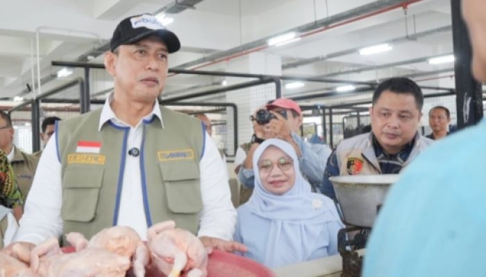 Pemerintah Sidak Pasar Sepekan Terakhir, Harga Daging Hingga Cabai Terpantau Turun