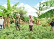 Babinsa Koramil 2302/Bojonegara Tingkatkan Disiplin dan Ketahanan Wilayah Lewat Pelatihan PBB dan Pendampingan Petani