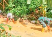 Babinsa Koramil Bojonegara Bersama Warga Gotong Royong Bersihkan Sampah dan Sungai