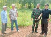 Babinsa Koramil 2303/Pulomerak Giat Komsos, Bahas Pemanfaatan Lahan Pertanian dan Keamanan Lingkungan di Grogol
