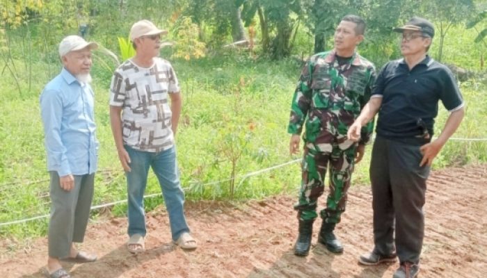 Babinsa Koramil 2303/Pulomerak Giat Komsos, Bahas Pemanfaatan Lahan Pertanian dan Keamanan Lingkungan di Grogol