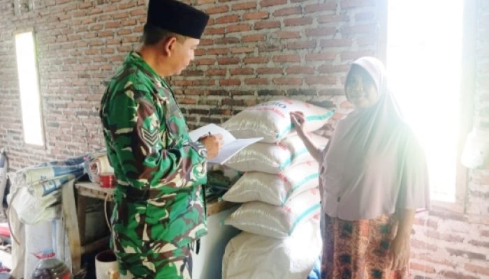 Babinsa Koramil 2305/Cinangka Sosialisasi Bahaya Narkoba dan Cek Ketersediaan Beras Jelang Idulfitri