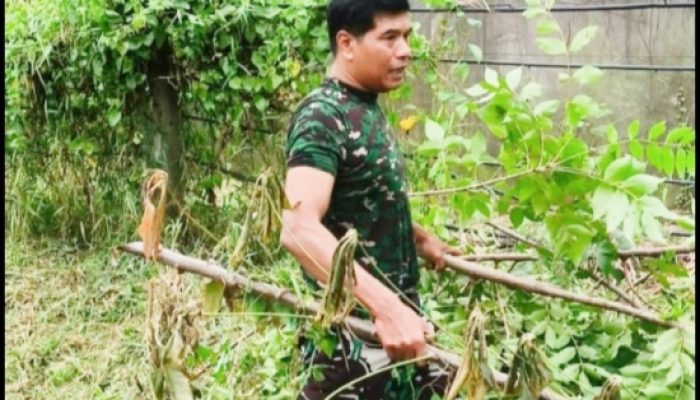 Babinsa Pulomerak Bergerak Bersama Warga, Lingkungan Bersih dan Akses Jalan Ditingkatkan