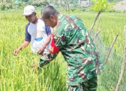 Babinsa Koramil 2301/Cilegon Bersama Warga dan Polri Gelar Karya Bakti Bersihkan Lingkungan dan Fasilitas Umum