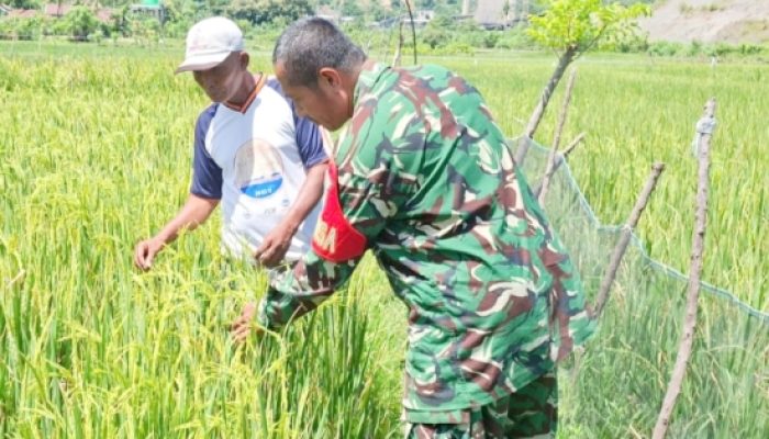Babinsa Koramil 2301/Cilegon Bersama Warga dan Polri Gelar Karya Bakti Bersihkan Lingkungan dan Fasilitas Umum