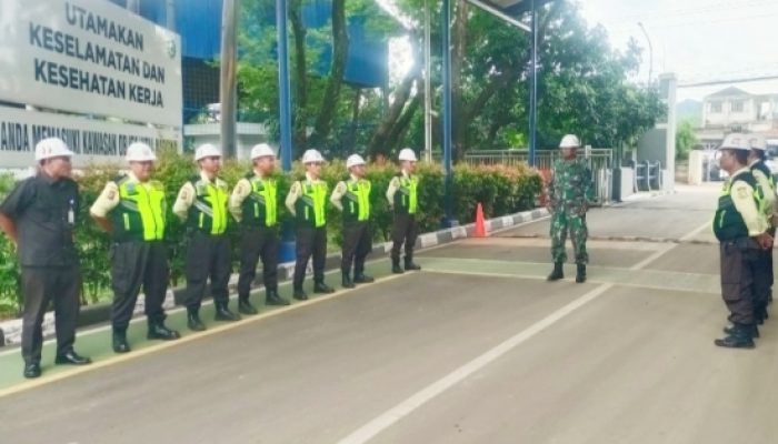 Babinsa Koramil 2302/Bojonegara Aktif Laksanakan Bintahwil, Latih PBB hingga Dampingi Petani Kacang Tanah
