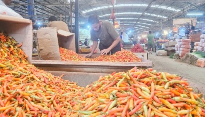 Stok Cukup, Harga Pangan Stabil, Petani hingga Konsumen Bahagia saat Lebaran