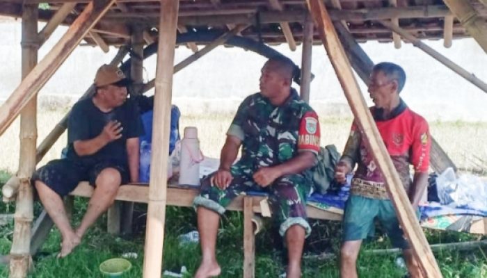 Babinsa Koramil 2307/Ciwandan Laksanakan Puanter, Data Lahan Pertanian dan Harga Sembako