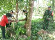 Babinsa Koramil 2305/Cinangka Gelar Karya Bakti, Bantu Patok Batas Tanah dan Penghijauan