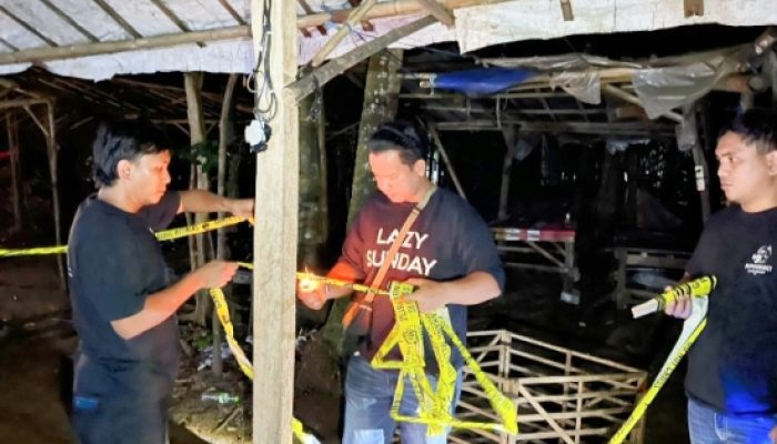 Tindaklanjuti Informasi yang Berkembang, Polda Banten Gerebek Lokasi Sabung Ayam