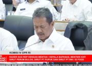 Ekspor Produk Perikanan RI Meroket, Capai 6,27 Miliar Dolar AS Tahun 2025