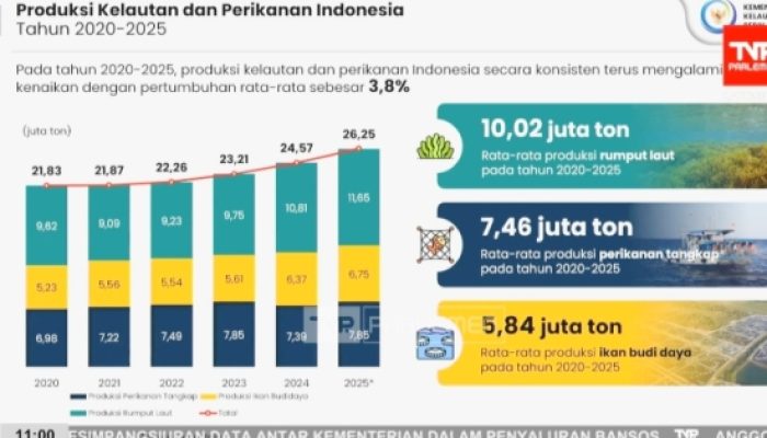 KKP Proyeksikan Produksi Ikan Nasional Capai 10,57 Juta Ton hingga Akhir 2026