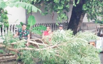 Babinsa Koramil 2301/Cilegon Bersama Warga Gelar Karya Bhakti, Bersihkan Lingkungan dan Perbaiki Drainase