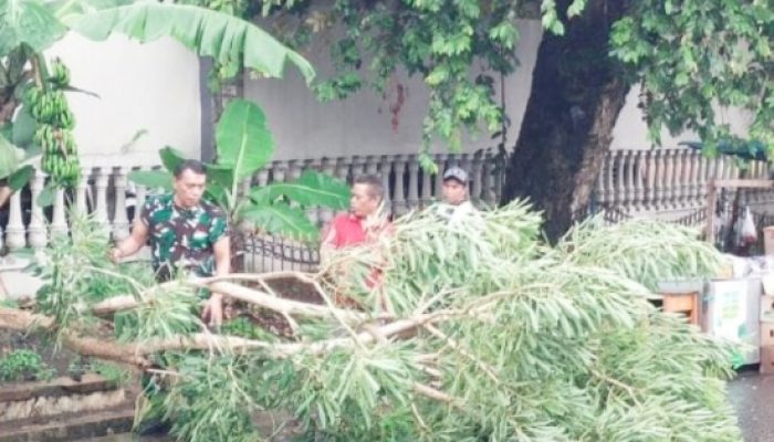 Babinsa Koramil 2301/Cilegon Bersama Warga Gelar Karya Bhakti, Bersihkan Lingkungan dan Perbaiki Drainase
