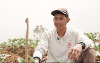 Petani Sayur di Boyolali Tersenyum Berkat MBG, Harga Naik dan Permintaan Meningkat