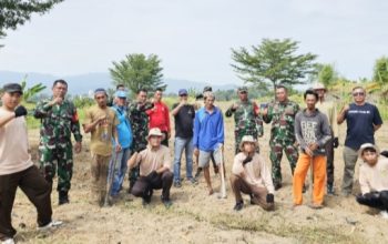 TMMD 128 Kodim 0623/Cilegon Tanam Jagung 2 Hektar di Desa Bulakan, Dukung Program Swasembada Pangan