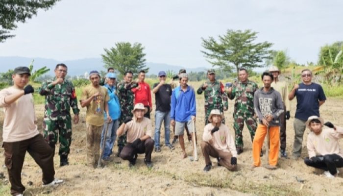 TMMD 128 Kodim 0623/Cilegon Tanam Jagung 2 Hektar di Desa Bulakan, Dukung Program Swasembada Pangan