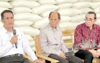 Simak! Bukti Kebijakan Pemerintah di Balik Swasembada dan Peningkatan Kesejahteraan Petani