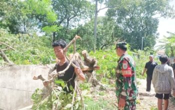 Babinsa Koramil 2301/Cilegon Gotong Royong Bersama Warga, Bersihkan Lingkungan dan Perbaiki Drainase
