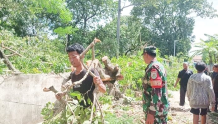 Babinsa Koramil 2301/Cilegon Gotong Royong Bersama Warga, Bersihkan Lingkungan dan Perbaiki Drainase