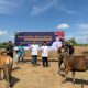 Semarak Idul Adha 1447 H, Achmad Daeng Se’re dan Fadel Achmad Sembelih 2 Hewan Qurban untuk Masyarakat