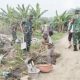 Gorong-Gorong Jebol, Danramil Bojonegara Ajak Warga Gotong Royong Perbaiki Akses Vital