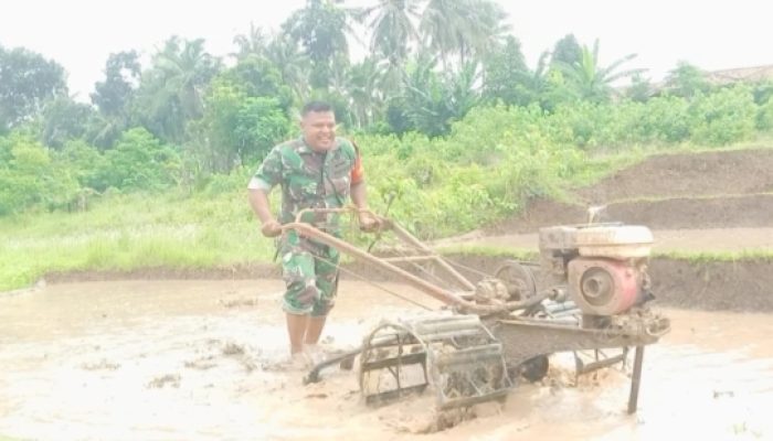 Babinsa Koramil 2306/Mancak Aktif Dampingi Petani Ketapang di Dua Desa
