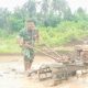 Babinsa Koramil 2306/Mancak Aktif Dampingi Petani Ketapang di Dua Desa