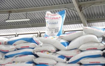 Di Tengah Krisis Pupuk Global, Prabowo Justru Pangkas Harga 20% untuk Petani
