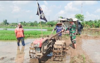 Babinsa Koramil 2303/Pulomerak Aktif Dampingi Ketahanan Pangan dan Tanamkan Nilai Kebersamaan di Sekolah