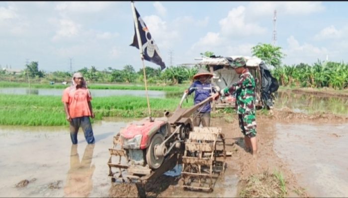 Babinsa Koramil 2303/Pulomerak Aktif Dampingi Ketahanan Pangan dan Tanamkan Nilai Kebersamaan di Sekolah