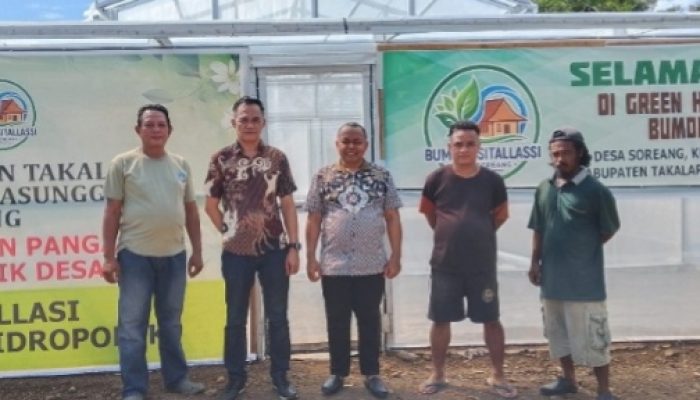Tinjau Green House Hidroponik, Plt Camat Mappakasunggu Apresiasi Inovasi Ketahanan Pangan BUMDes Soreang