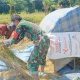 Babinsa Koramil 2305/Cinangka Aktif Laksanakan Pendataan Warga dan Dampingi Petani Panen Padi