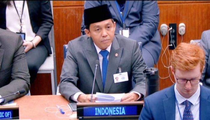 Di Forum PBB, Pemerintah Sampaikan Penurunan Kebakaran Hutan hingga Pengakuan Hutan Adat