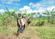 Babinsa Koramil 2301/Cilegon Dampingi Program Budidaya Ayam Petelur Bersama Dinas Peternakan