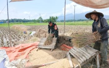 Babinsa Koramil 2307/Ciwandan Perkuat Komsos, Ajak Warga Jaga Kebersihan dan Keamanan Lingkungan