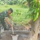 Babinsa Koramil 2307/Ciwandan Gotong Royong Bersama Warga Bangun Drainase dan Rumah di Cilegon